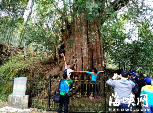 Dl(f)F(xin)ȫҰtɼλ˷ܭh(hun)