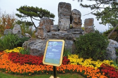 2020걱딵(sh)ߌB(ti)zw̎o(w)