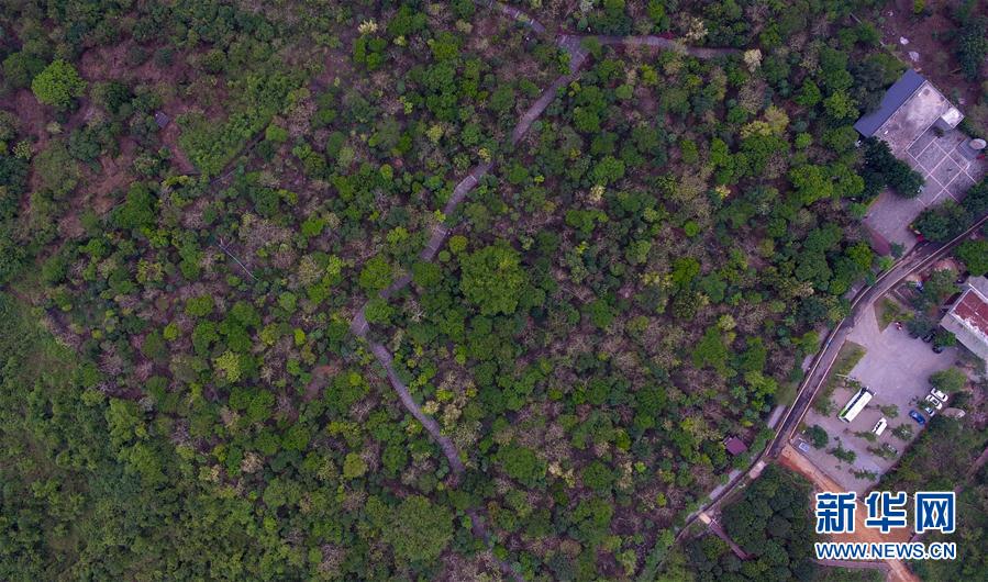 (hu)3ʩ裺ɫa(chn)I(y)