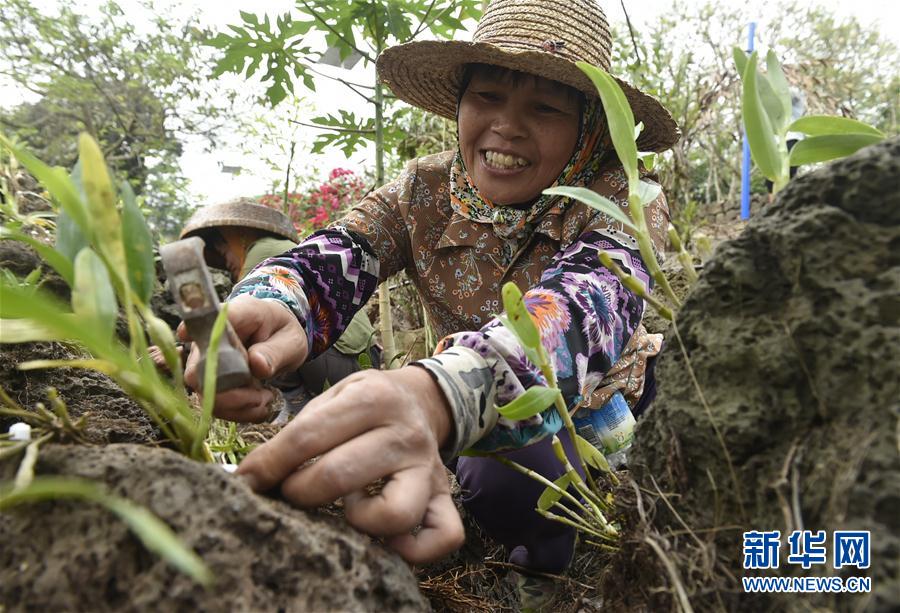 (hu)4ʩ裺ɫa(chn)I(y)