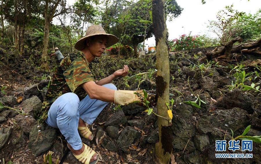 (hu)5ʩ裺ɫa(chn)I(y)