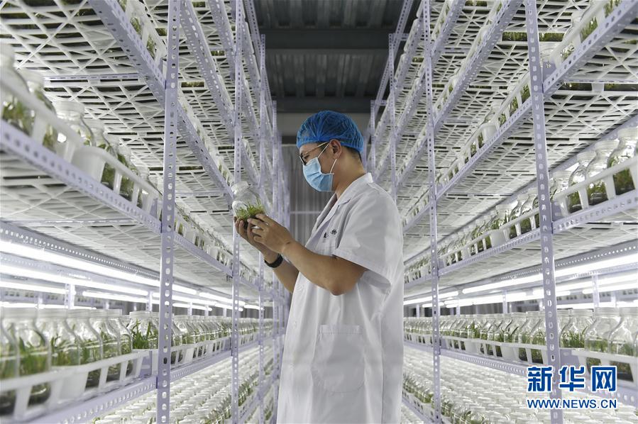 (hu)7ʩ裺ɫa(chn)I(y)