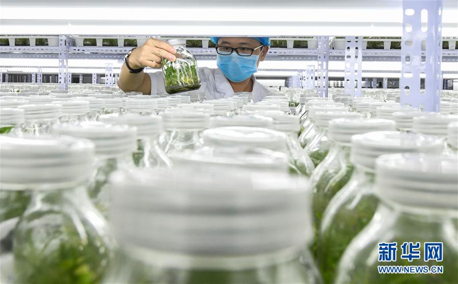 (hu)8ʩ裺ɫa(chn)I(y)