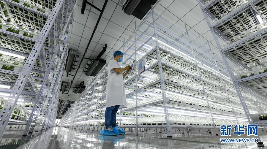 (hu)9ʩ裺ɫa(chn)I(y)