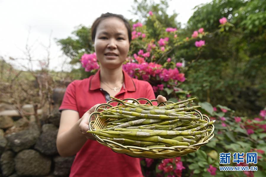 (hu)11ʩ裺ɫa(chn)I(y)