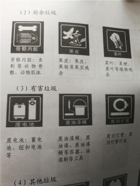 聲音:“小手拉動(dòng)大手”促進(jìn)垃圾分類(lèi)