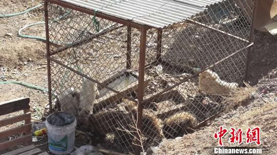 D鱱ᜫӿڴץصĲַ(dng)Ǻ z