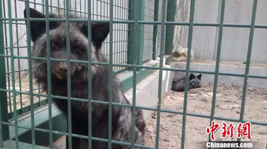 ֫@ȵķ(dng)ڱҰ(dng)o(h)Ľܿ(f)B(yng)ĿǰѱͻԭB(yng)ֳ(chng)Dڸx\ĺ؂Ǻ z