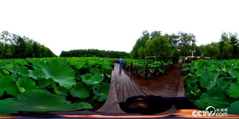 @һҕW(wng) ӛߺδz