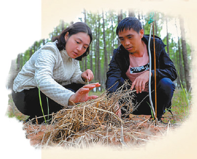 歲末年初探脫貧(人民眼打贏脫貧攻堅戰(zhàn))