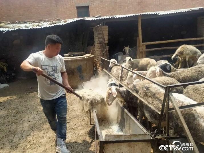 κh(zhn)ؚC(j)ưѷһҏķؚ˻؁(li)¸Сĵ·z/x